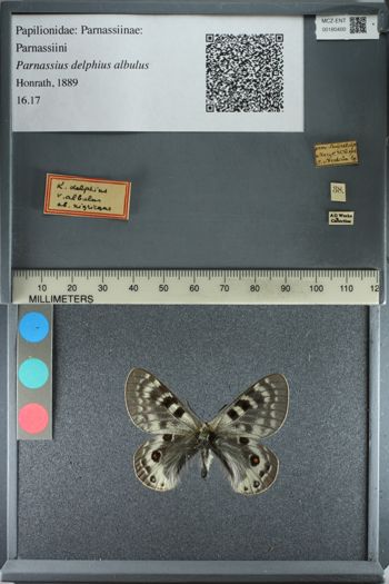 Media type: image;   Entomology 180400